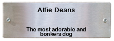 PDSA plaque for Alfie Deans