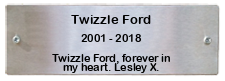 PDSA plaque for Twizzle Ford