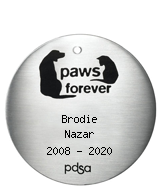 PDSA Tag for Brodie Nazar