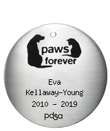 PDSA Tag for Eva Kellaway-Young