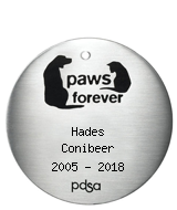 PDSA Tag for Hades Conibeer