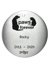 PDSA Tag for Rocky 