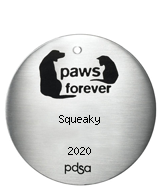 PDSA Tag for Squeaky 