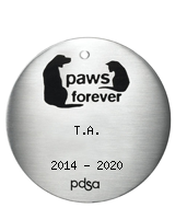 PDSA Tag for T.A. 