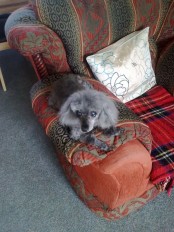 Bonny after having her hair cut