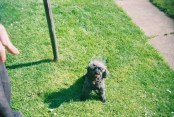 Bonny enjoying her garden