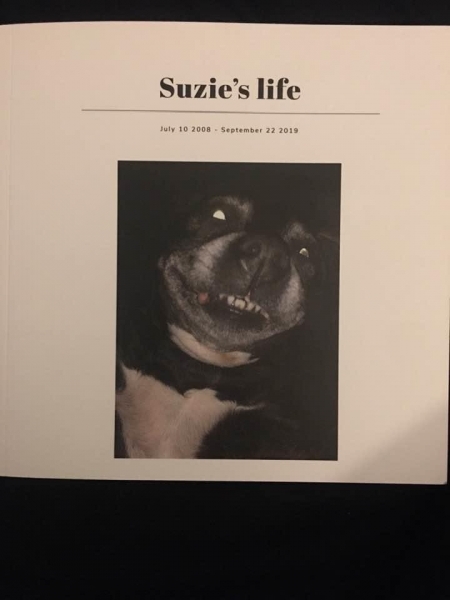 Suzie Silk. 
Forever in our hearts 
XxX