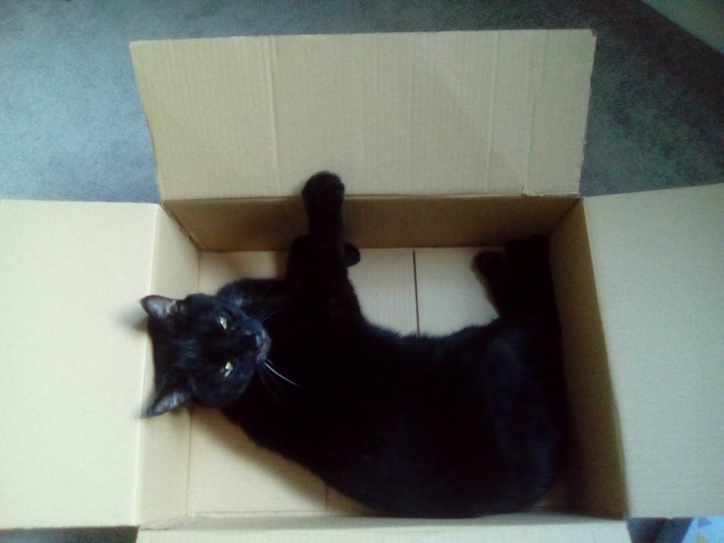 He did love a good box