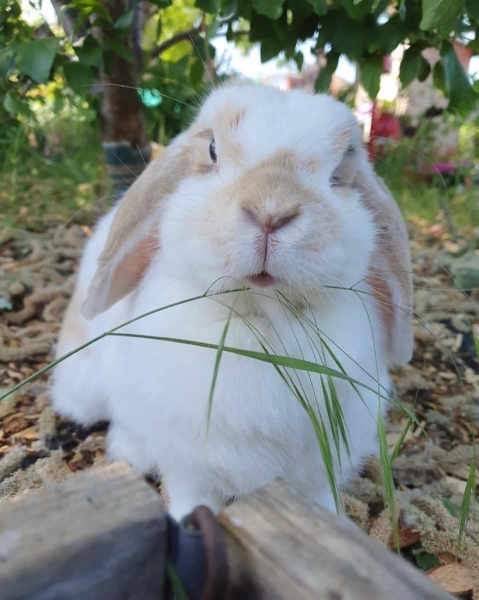 Favourite picture of my beloved Emily it’s like her memorial picture now , such a beautiful girl 