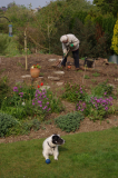 Hard at work on the garden, April 2009, with Jess the Supervisor nearby...