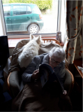 In her reading chair, February 2020, with Tilly making her presence known...