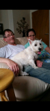 Dad with his much missed Westie " Robbie" - who he is now reunited with in heaven.