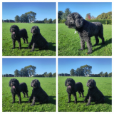 With her older sister Hettie 