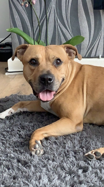 Our beautiful boy could light up a room with that smile x