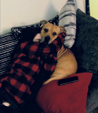 He gave the best cuddles a girl could ever ask for 