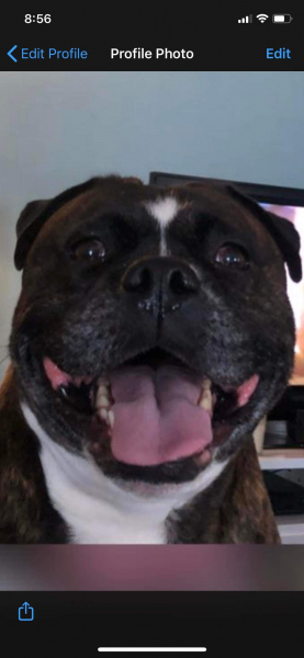 Forever keep that smile going my boy I love you