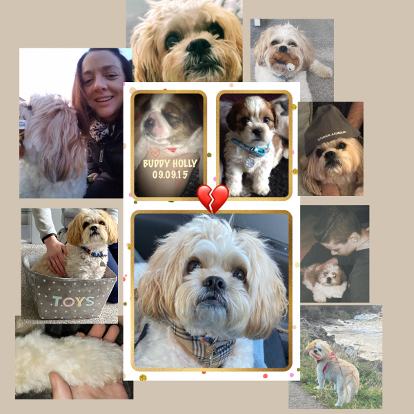 Ten years of being with my best friend. 