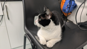 The last photo I managed to take of him. He was so handsome