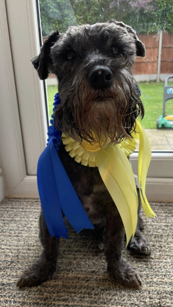 Much missed Muttley, forever in our thoughts xxx