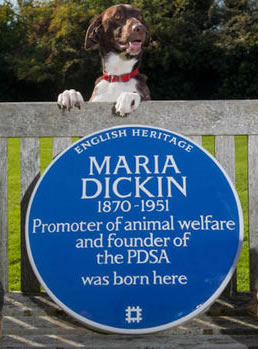 Three dogs pose on a bench with Maria Dickin's blue plaque